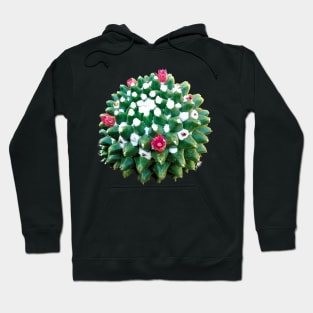 Cacto Bola Toluca Hoodie